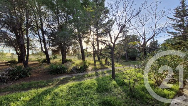 maison à vendre - 4 pièces - 247.0 m2 - 11 - LANGUEDOC-ROUSSILLON - Century 21 Eic Immo