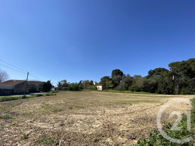terrain à vendre - 2791.0 m2 - 11 - LANGUEDOC-ROUSSILLON - Century 21 Eic Immo
