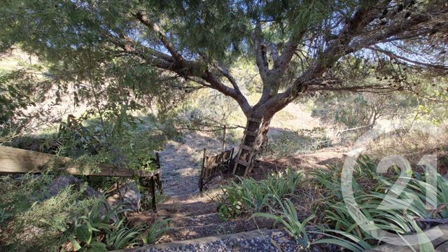 maison à vendre - 6 pièces - 236.65 m2 - NARBONNE - 11 - LANGUEDOC-ROUSSILLON - Century 21 Eic Immo