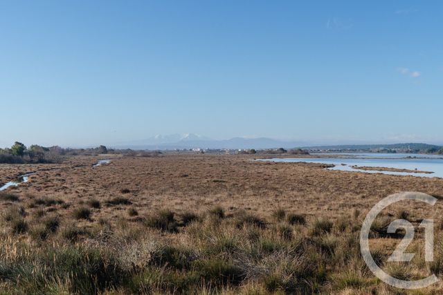 maison à vendre - 3 pièces - 39.33 m2 - GRUISSAN - 11 - LANGUEDOC-ROUSSILLON - Century 21 Eic Immo