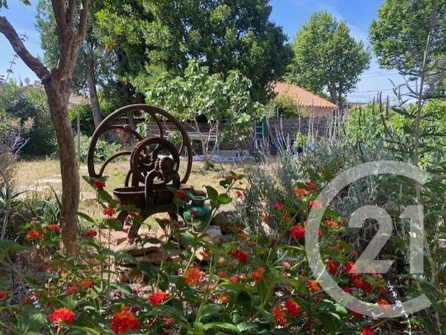 maison à vendre - 6 pièces - 152.59 m2 - CAMPLONG D AUDE - 11 - LANGUEDOC-ROUSSILLON - Century 21 Eic Immo