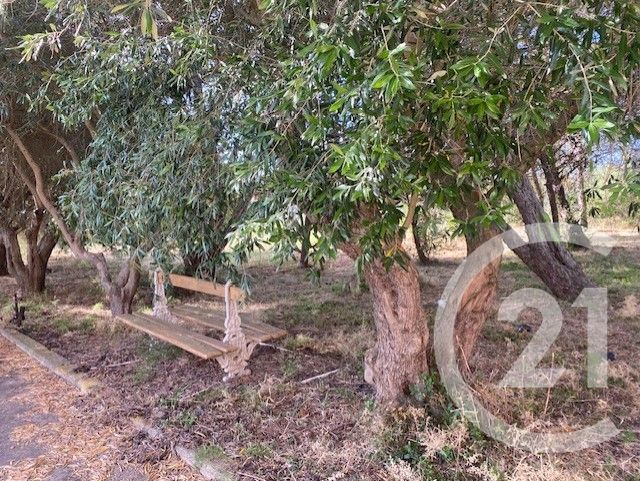 maison à vendre - 5 pièces - 137.24 m2 - NARBONNE - 11 - LANGUEDOC-ROUSSILLON - Century 21 Eic Immo
