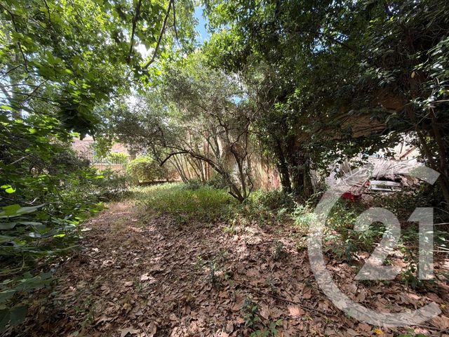 maison à vendre - 8 pièces - 280.0 m2 - LUC SUR ORBIEU - 11 - LANGUEDOC-ROUSSILLON - Century 21 Eic Immo