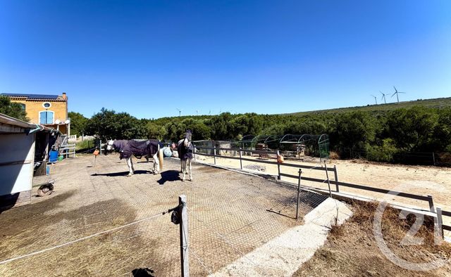 maison à vendre - 6 pièces - 226.0 m2 - LA PALME - 11 - LANGUEDOC-ROUSSILLON - Century 21 Eic Immo