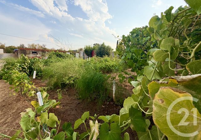 terrain à vendre - 1314.0 m2 - NARBONNE - 11 - LANGUEDOC-ROUSSILLON - Century 21 Eic Immo